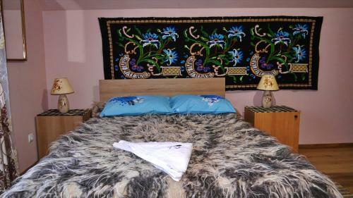 Hostal Acasa In Maramures