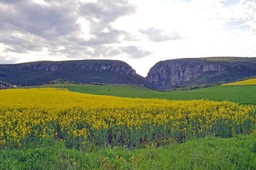 Agroturismo Pensiunea Cheile Apusenilor