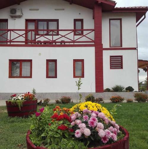 Hostal Pensiunea Simona