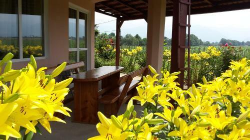 Hostal Vila Ivan