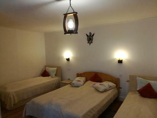 Hostal Pensiunea Diana