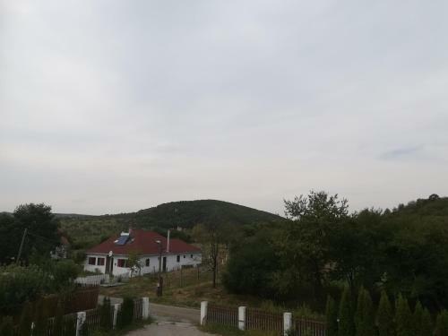 Hostal Palace II Panzio