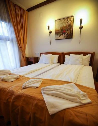 Hostal Pensiunea Roua Muntelui