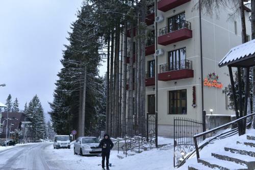 Hostal Edy's Royal Predeal