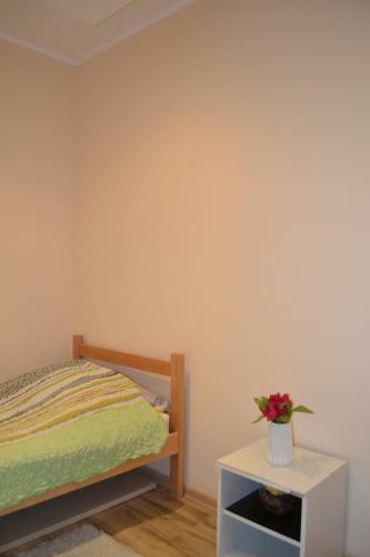 Apartment Ru?a