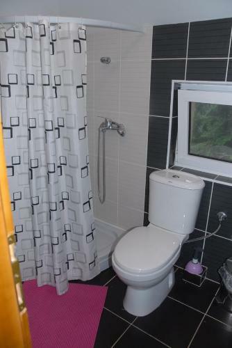Zlatiborska Zvezdica Apartmani