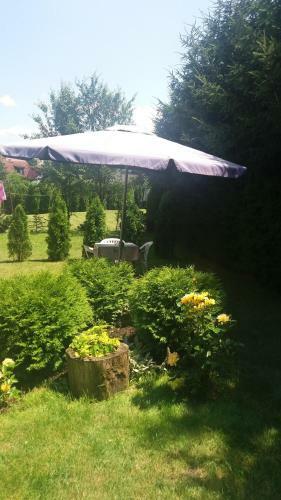Apartments Bojana