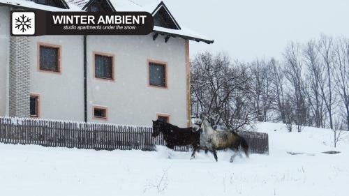 Hostal Eco Farm Milanovic