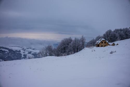 Holiday Home Floris