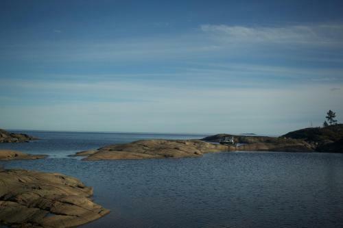 Palkoniemi