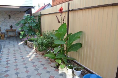 Hostal Guest House Vera