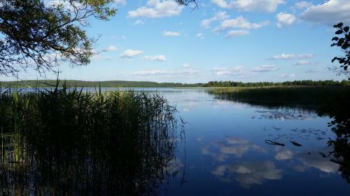 Hostal House Mironovo