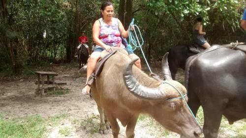 Pousada Dos Cora��es