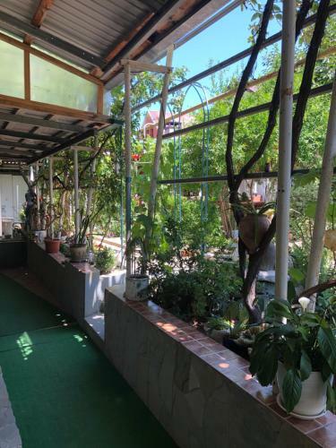Hostal Na Viiyamsa 6 A