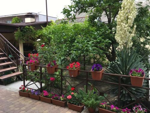 Hostal Guest House U Marusi
