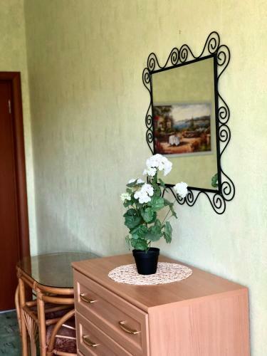 Hostal Gostevoj Dom Na Leselidze