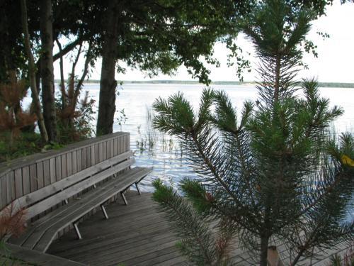 Eco-hotel Vetochka
