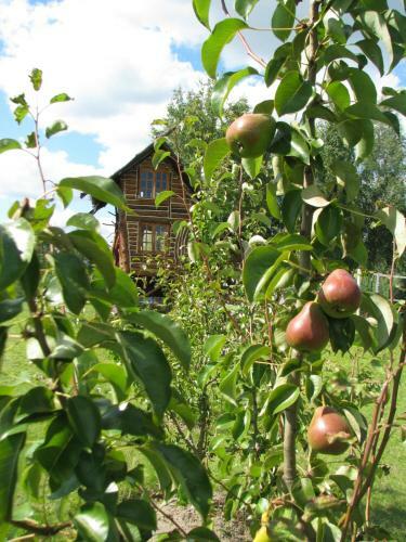 Eco-hotel Vetochka