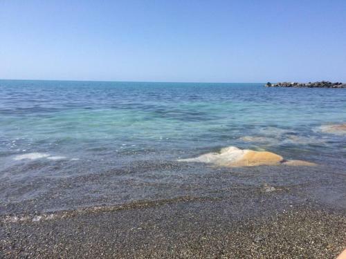 Hostal Guest House Tomichka
