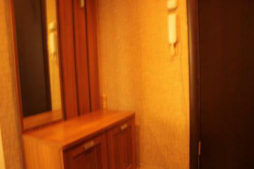 Apartment On Gagarina 70a