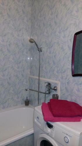 Apartment On Begicheva 14