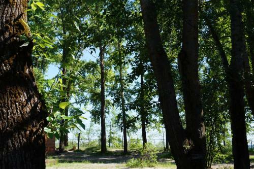 Agroturismo Baza Zaymishche