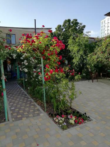 Hostal Guest House Nika