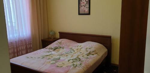 Hotel Shatura