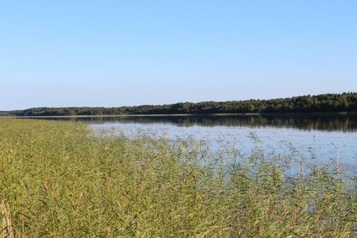 Agroturismo Dom Na Beregu Ozera
