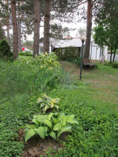 Hostal Country House Dom Pod Sosnami
