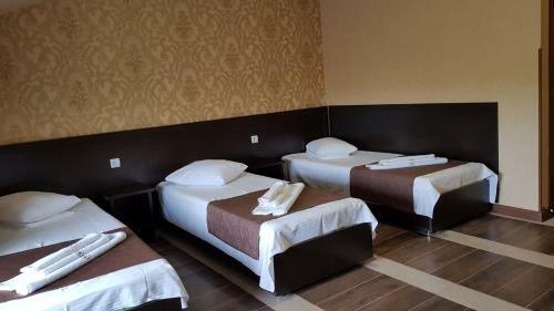 Hotel Novyi Zamok