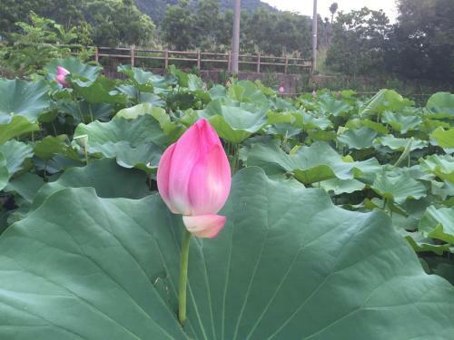 Yu Ho Yuan Lesiure Homestay