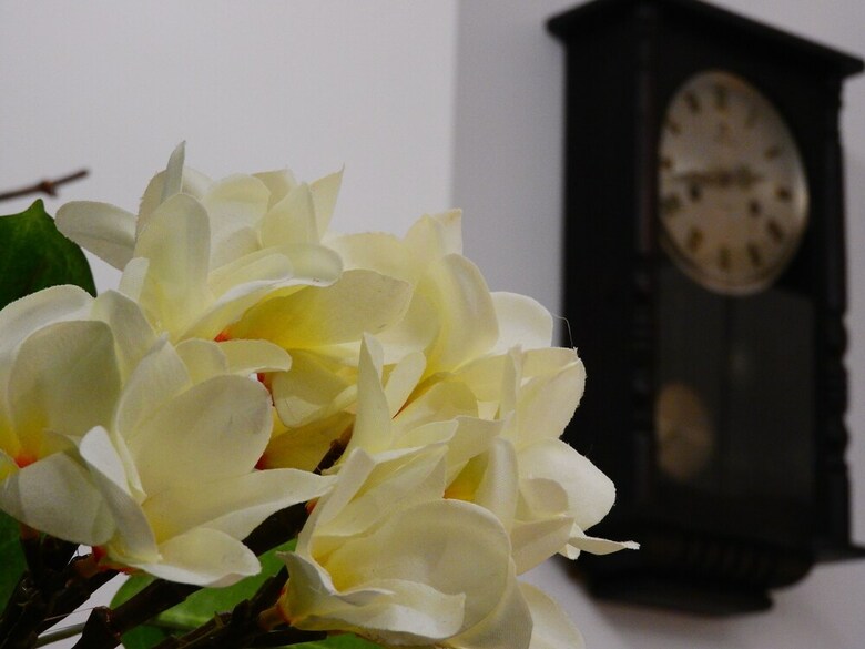 Bed & Breakfast Anping House