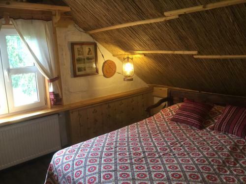 Hostal Salamandra Village