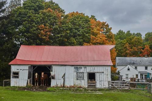 Tentrr - Simpler Times Farm Camp