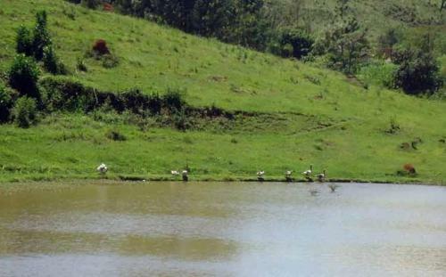 Agroturismo Pousada Fazenda Serra Que Chora