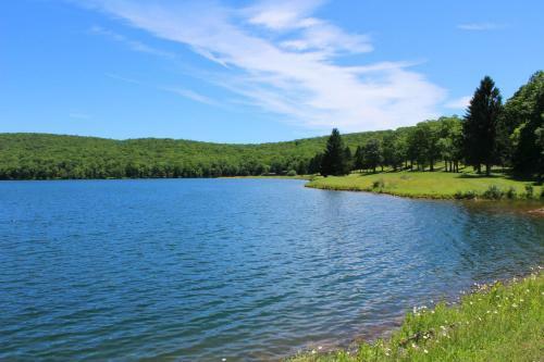 Hotel Alpine Lake Resort