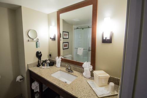 Hotel Comfort Suites Near Rainbow Springs Dunnellon