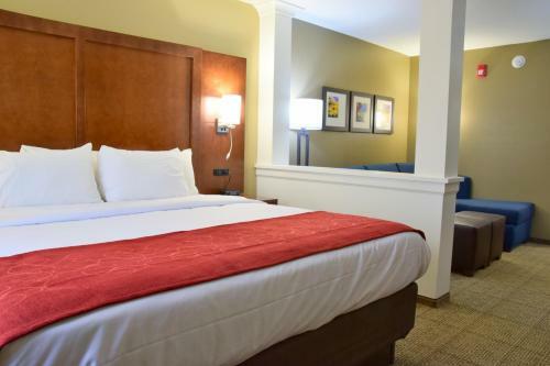 Hotel Comfort Suites Near Rainbow Springs Dunnellon