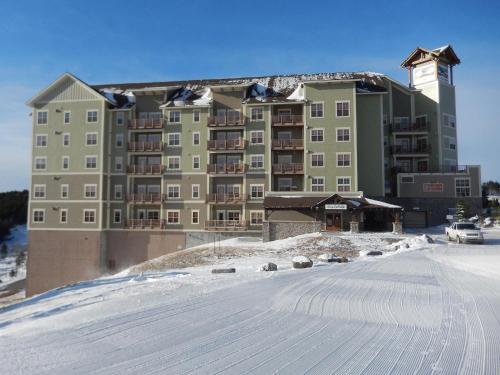 Soaring Eagle #204