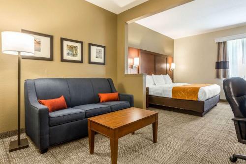 Hotel Comfort Suites At The University