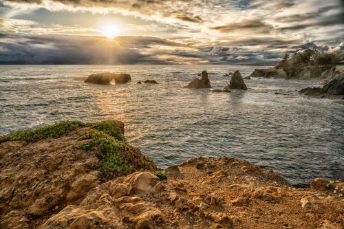 Sea Forever