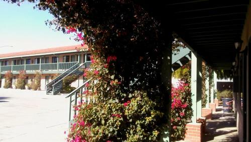 Hotel Soledad Motel 8