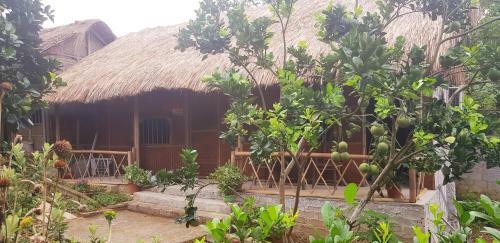 Family Homestay