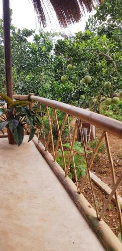 Family Homestay