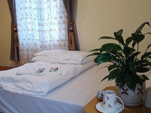 Hotel Tung Duong Guest House