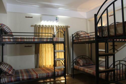 Phong Nha Gecko Hostel