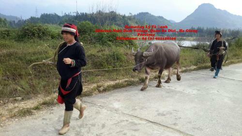 Ly Ta Danh Homestay