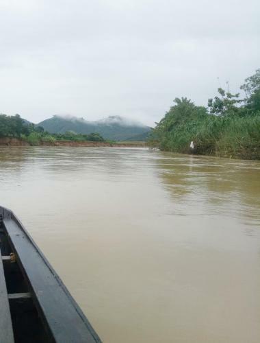 Cat Tien Bridge Homestay