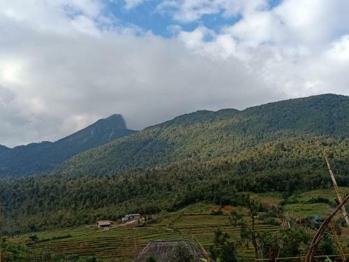 Bed & Breakfast Discover Y Ty Homestay